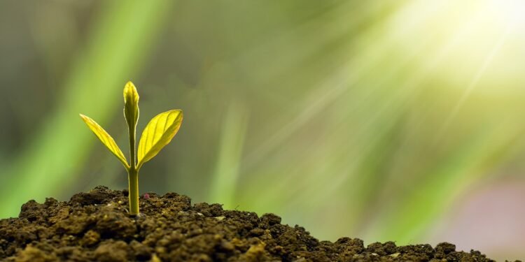 Focus on Balanced Approach to Mental, Physical, and Financial Wellness